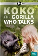 Koko: The Gorilla Who Talks to People