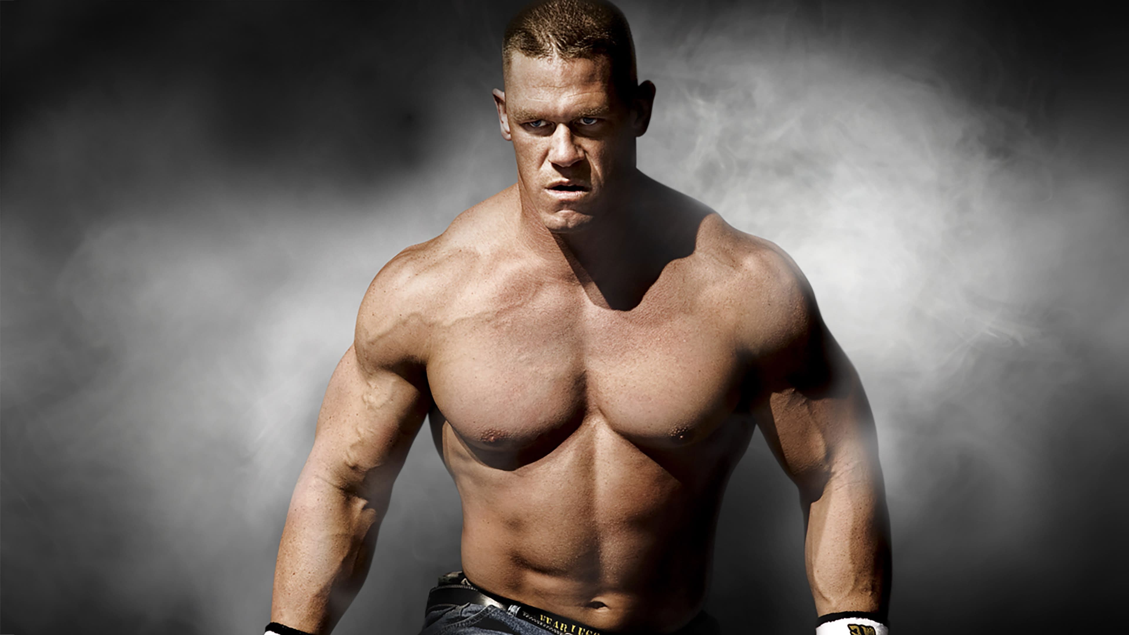 WWE Survivor Series 2008