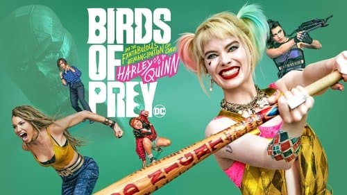 Birds of Prey (and the Fantabulous Emancipation of One Harley Quinn)